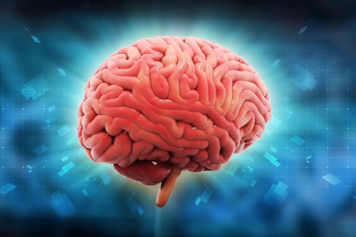 Astaxanthin--The-'Natural-Brain-Food'-That-Benefits-Cognitive-Function