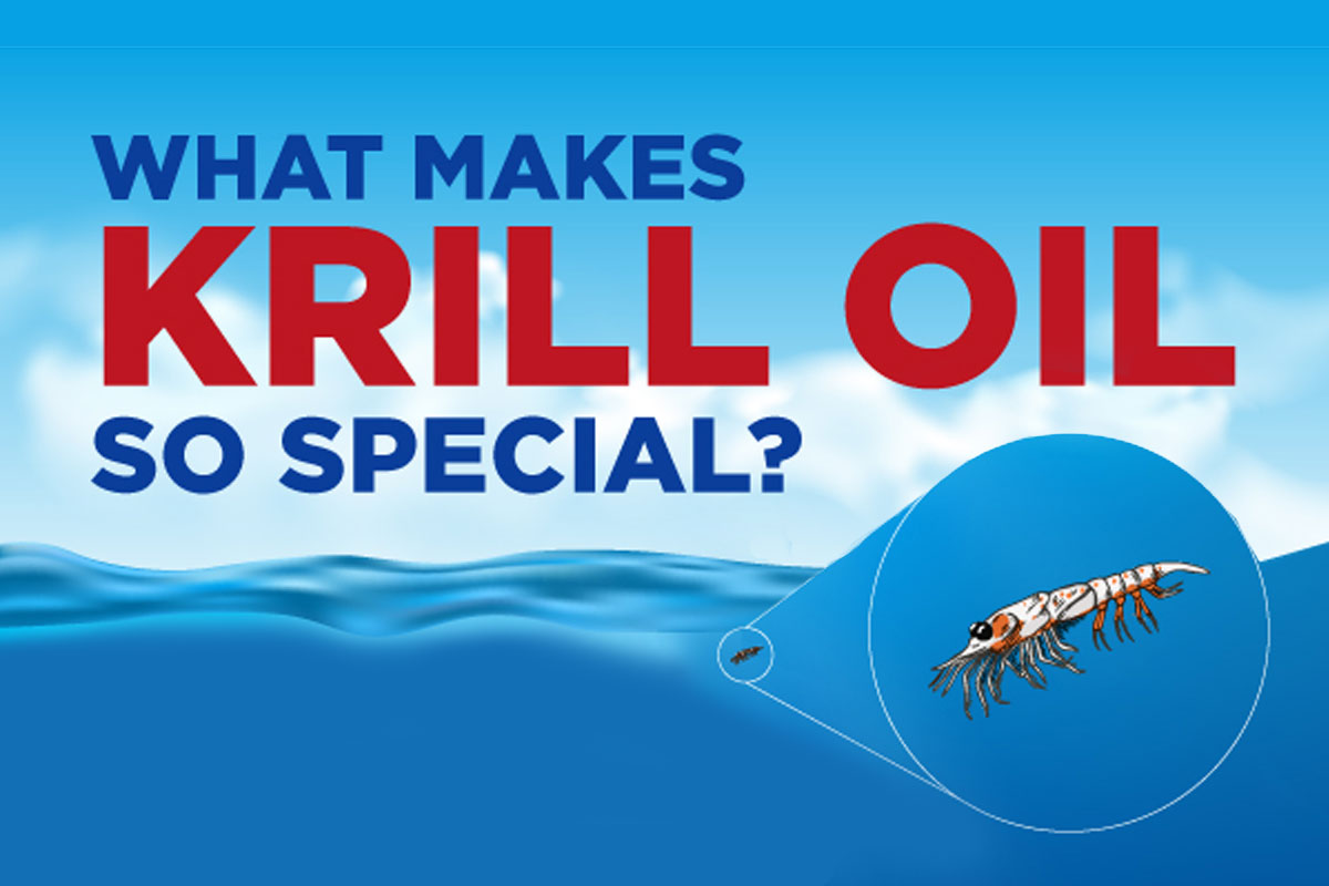 what-makes-krill-so-special