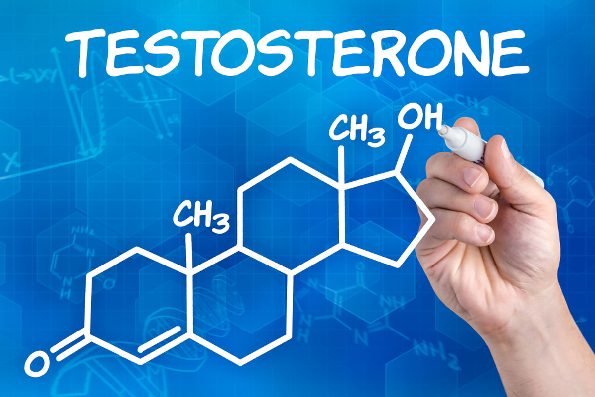 Magnesium-And-Testosterone